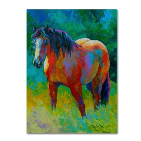 Marion Rose 'Buckskin II' Canvas Art,35x47